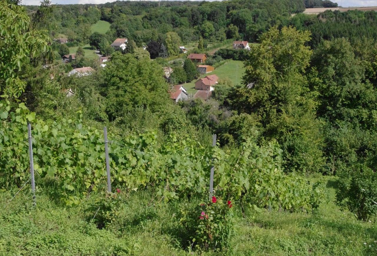 B&B Chez Fouchs - Chambre D'Hotes Dun-sur-Meuse ภายนอก รูปภาพ