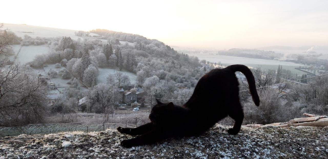 B&B Chez Fouchs - Chambre D'Hotes Dun-sur-Meuse ภายนอก รูปภาพ